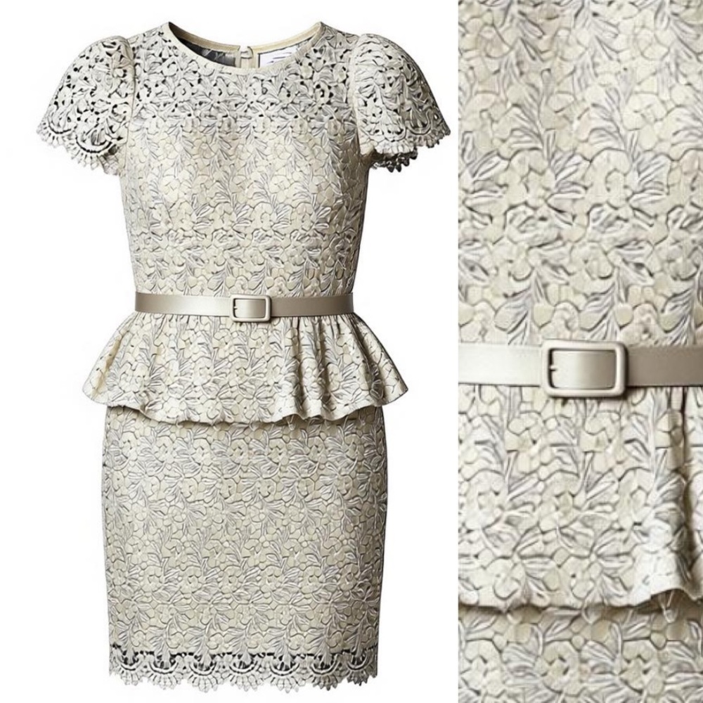 BETSY & ADAM shimmer Lace Peplum Dress Size 4  formal mother of bride or groom